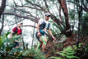 BIB: 
                            <button type="button" onclick="openModal(26295476)" class="btn btn-primary btn-sm float-right btn-popup" data-toggle="modal" data-target=".modal-high-quality">
                        <i class="fas fa-shopping-cart"></i> Add to Cart
                    </button>
                                            <button type="button" onclick="isThisMe(26295476, true)" class="btn btn-success btn-sm float-right btn-popup btn-isme hidden" data-toggle="tooltip" data-placement="bottom" title="นี่คือรูปของคุณใช่ไหม คลิกที่นี่เพื่อเอาเข้าอัลบั้ม">
                        <i class="fas fa-plus"></i> Add to album
                    </button>
                    <button type="button" onclick="isThisMe(26295476, false)" class="btn btn-warning btn-sm float-right btn-popup btn-isnotme hidden">
                        <i class="fas fa-ban"></i> Remove from album
                    </button>